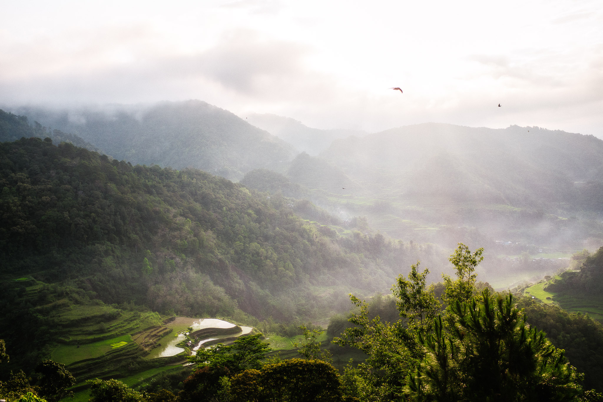 Philippines — photo 2