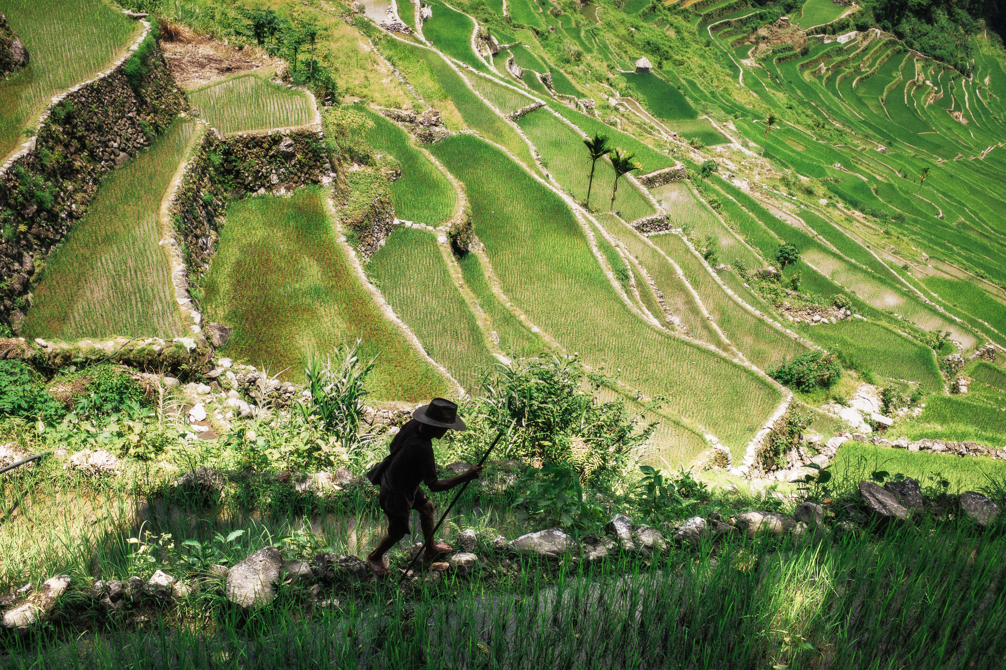 Philippines — photo 3