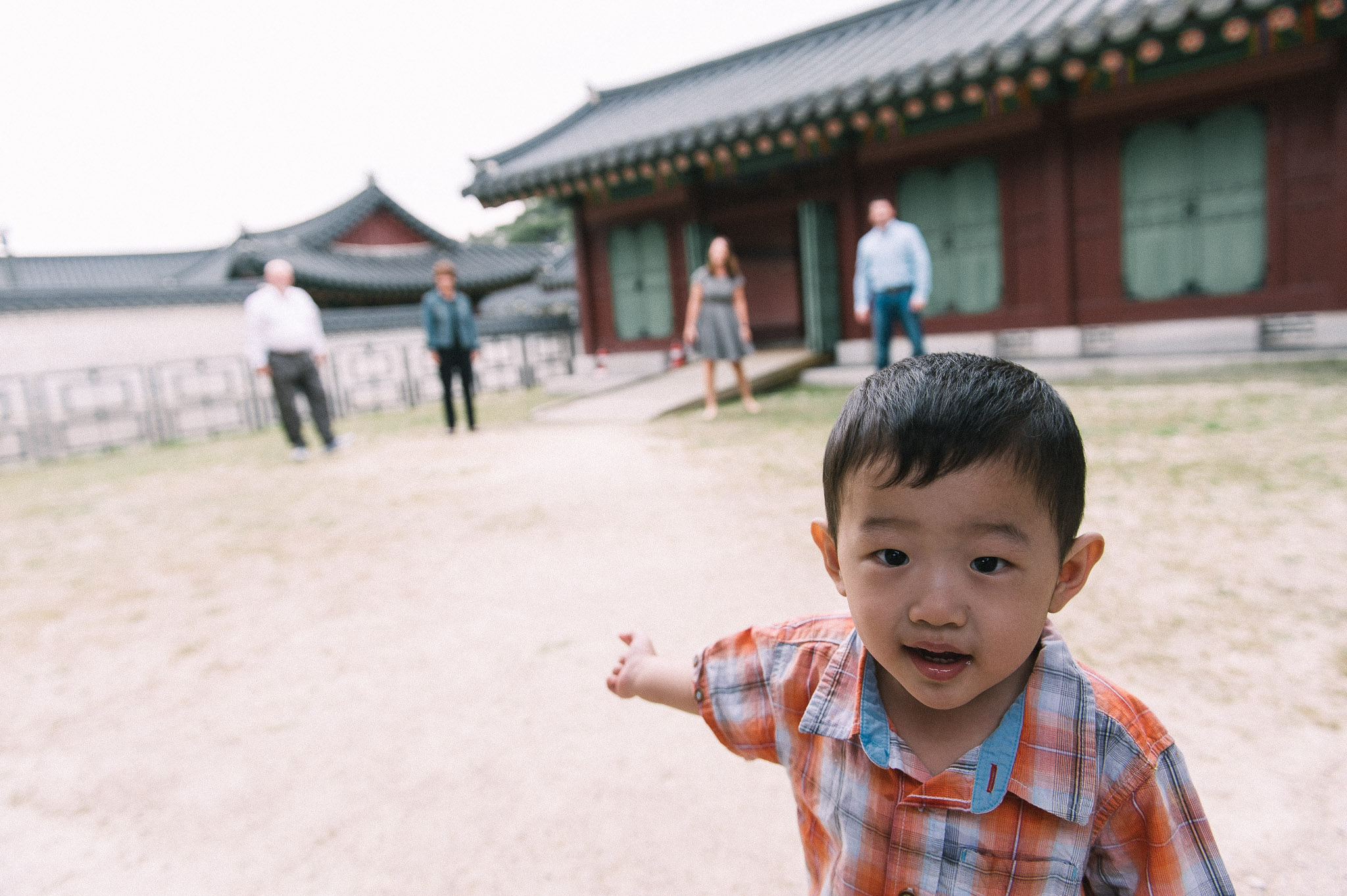 Ryder Adoption — photo 2