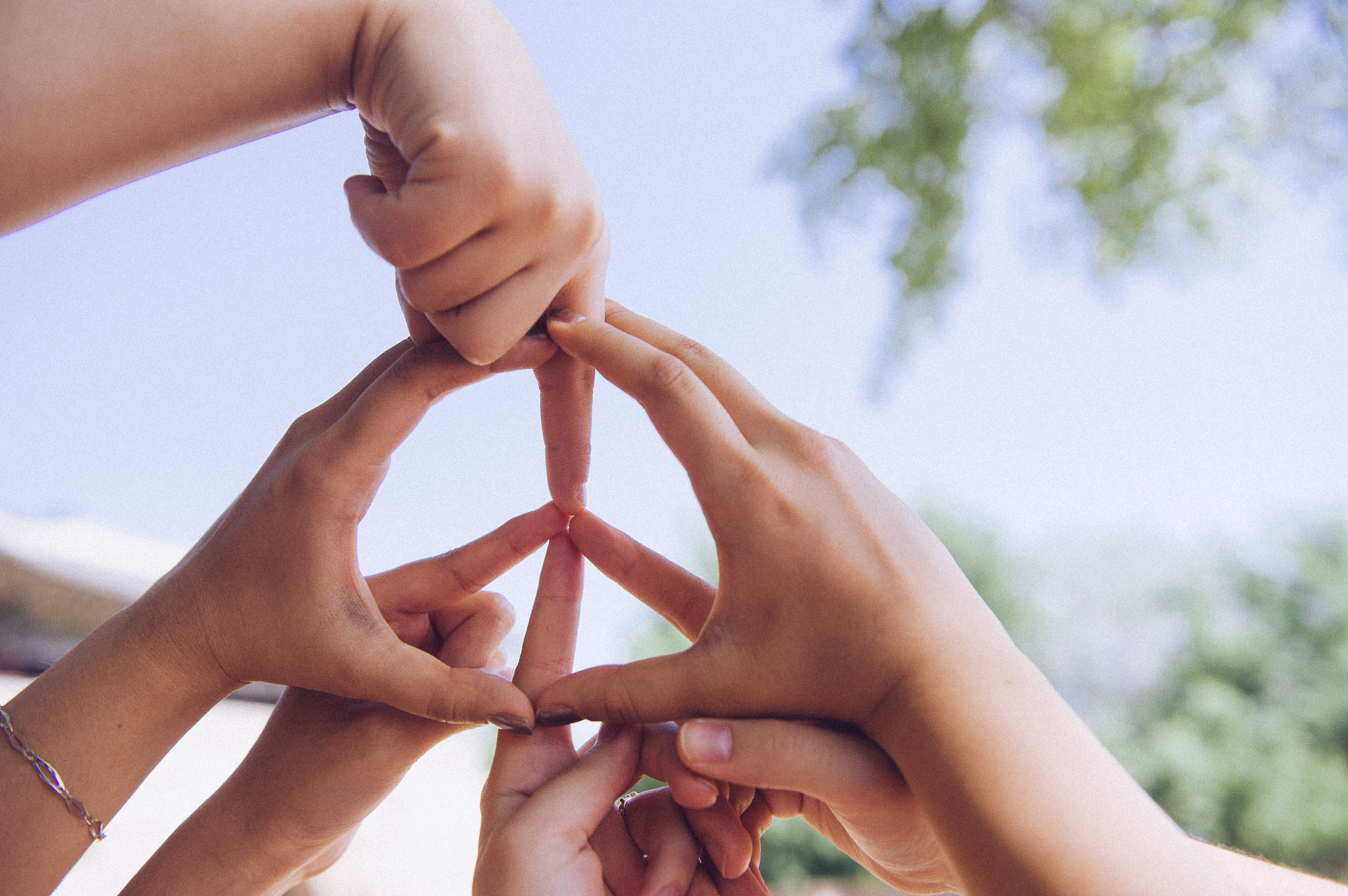 SFS Girls — photo 2