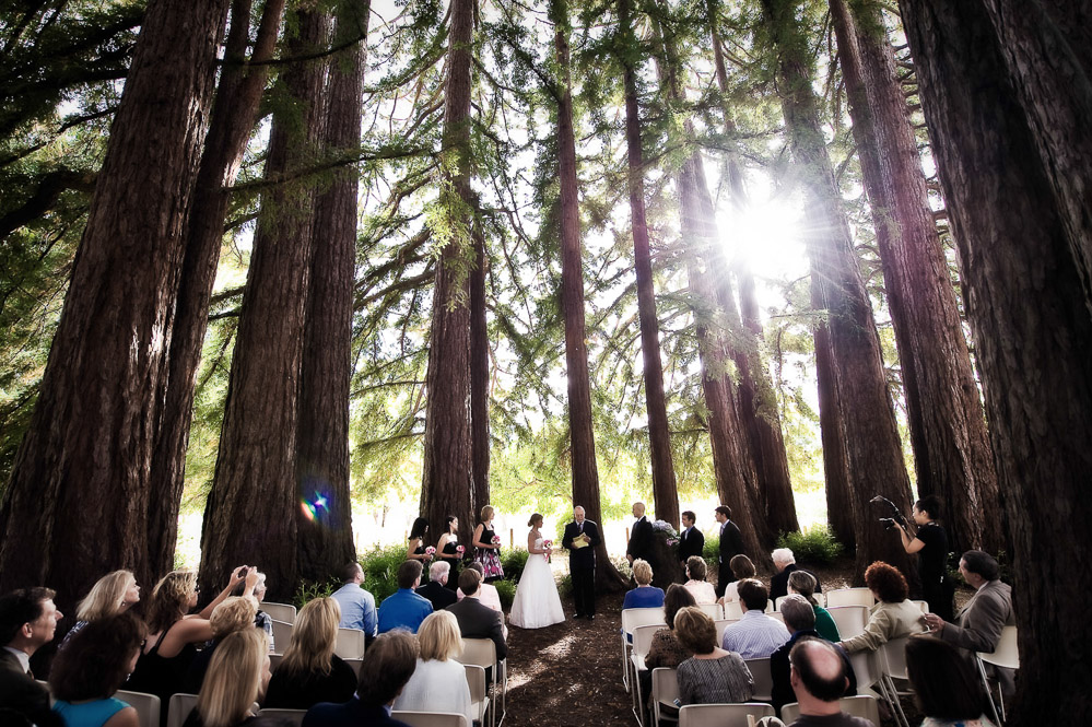 Wedding Moments — photo 11